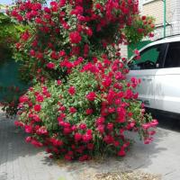 Марина 