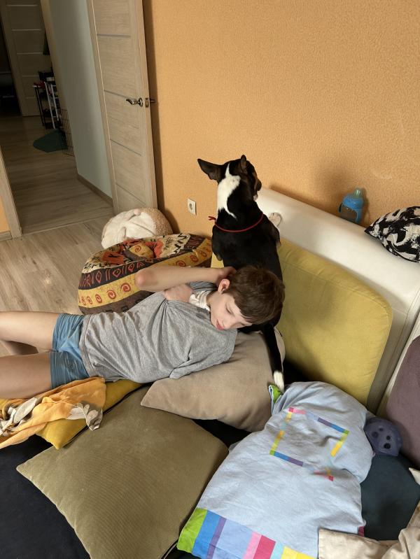 post image 3