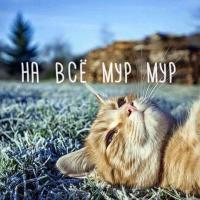 Настя