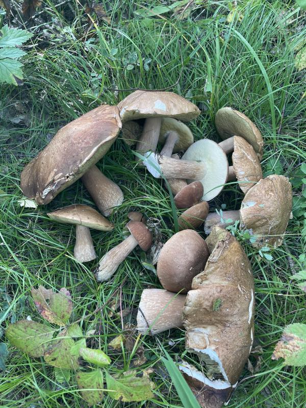 post image 4