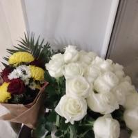 Марина Нестер 