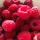 ledi_80788