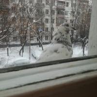 Мария