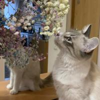 Время нытиков