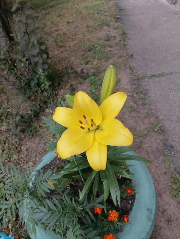 post image 5