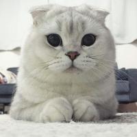 Айгерим