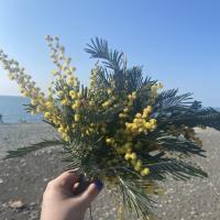 👑 Ирина 👑