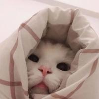 Надия Каримова