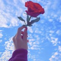 Zu_94/09