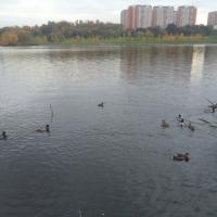 Ася