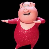 🐽пиг 
