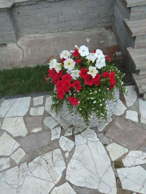 post image 4