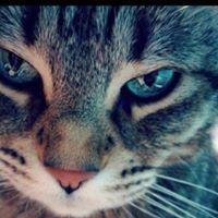 Татьяна Бор