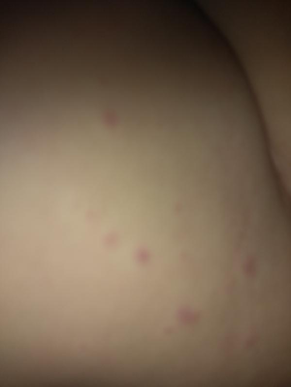 post image 4