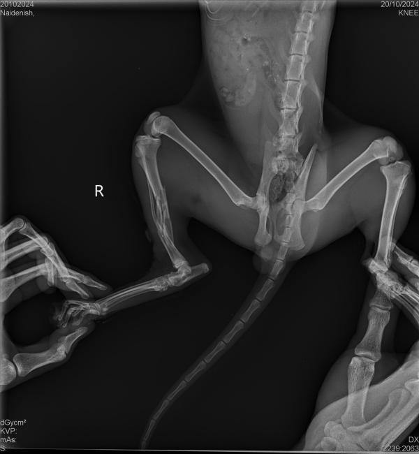 post image 5