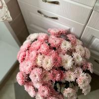 💗💗💗