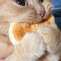 Ольга
