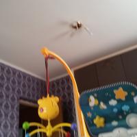 Екатерина Карпова