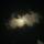 halima_112