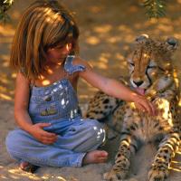 Tippi