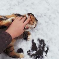 Луиза