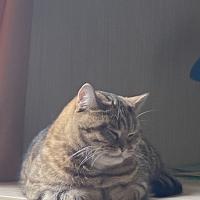 Юлия