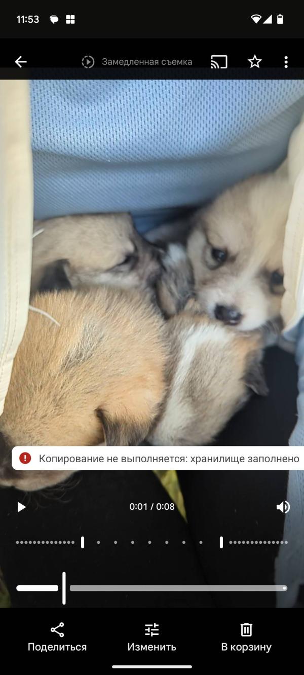 post image 5