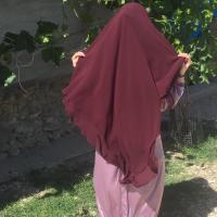 Наида