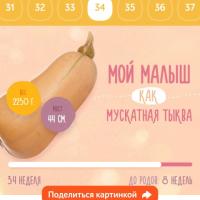 Надежда Б.