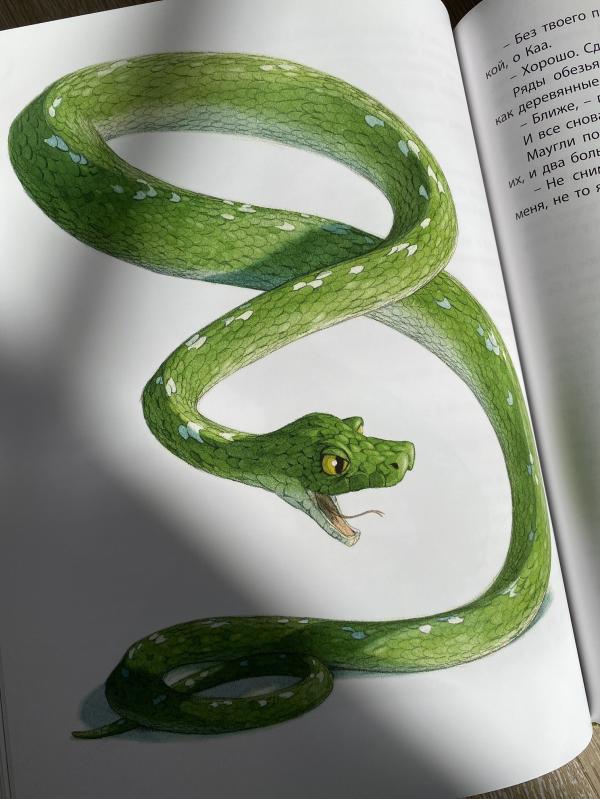 post image 5