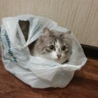 Виктория