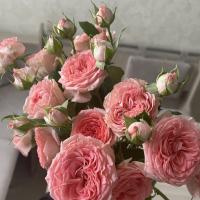 Екатерина 🌷