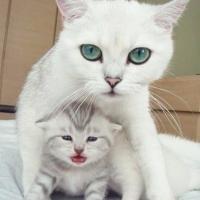 Марина
