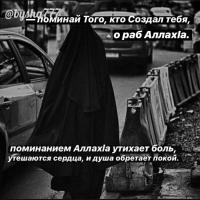 мадина