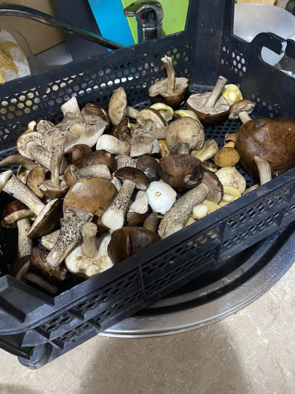 post image 5