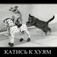 Кубанская Дева