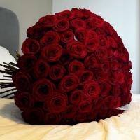 🥀آتِيكَة🥀