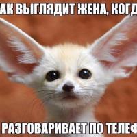 Регина