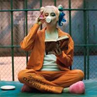Harley Quinn