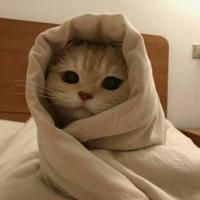 Ксю
