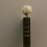 простая  أخت