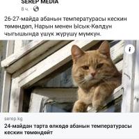 Кена