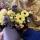 jasmina.10