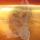annet-net_222