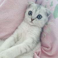 Марина 