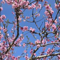 Зайка🌸