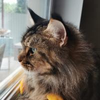 Elena