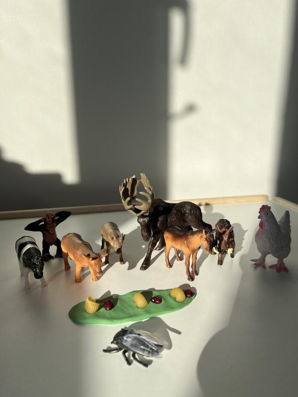 post image 5