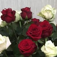 Наталья