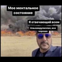 доверься Аллаху, и будь спокойна❤️‍🩹твое от тебя не уйдёт ✨